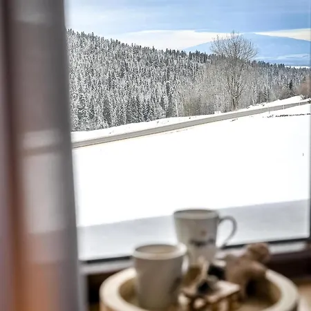 Na Budzu Z Jacuzzi Alpehytte Zakopane